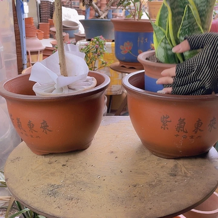 紫砂宜兴紫砂花盆25+25紫气东来