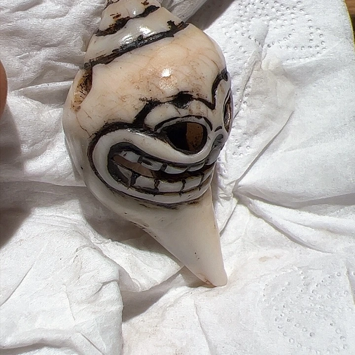 香榧木你的时候你是