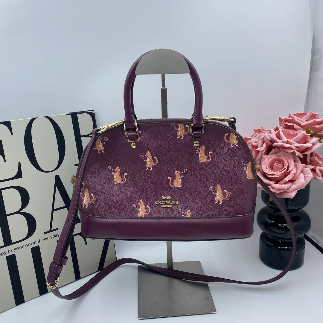 95新 COACH/蔻驰 17173斜挎包