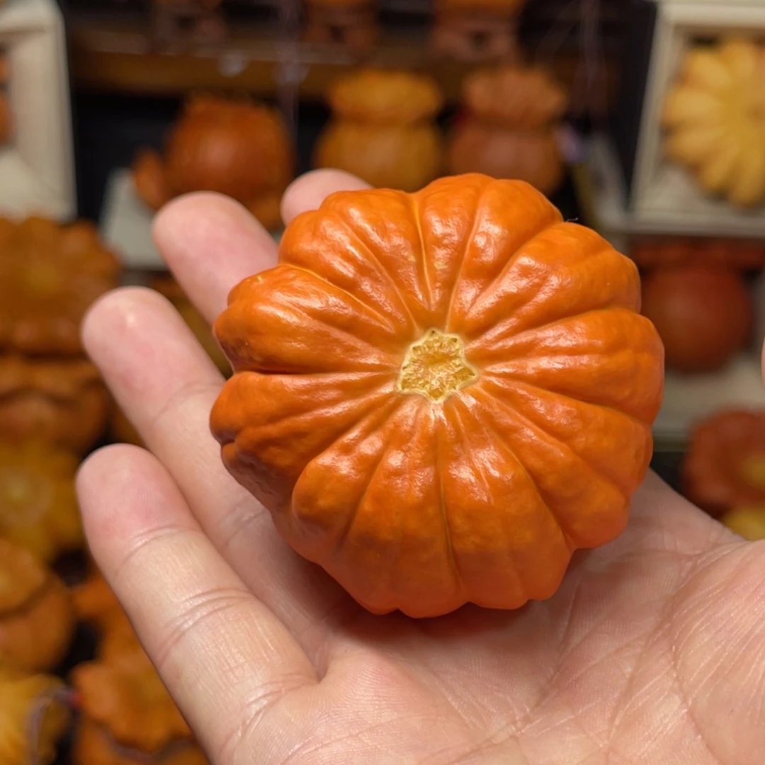 姜*嗝葫芦葫芦葫芦葫芦