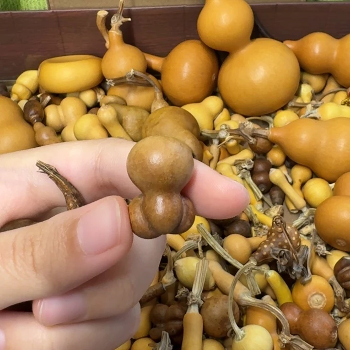 忘***我葫芦葫芦葫芦葫芦