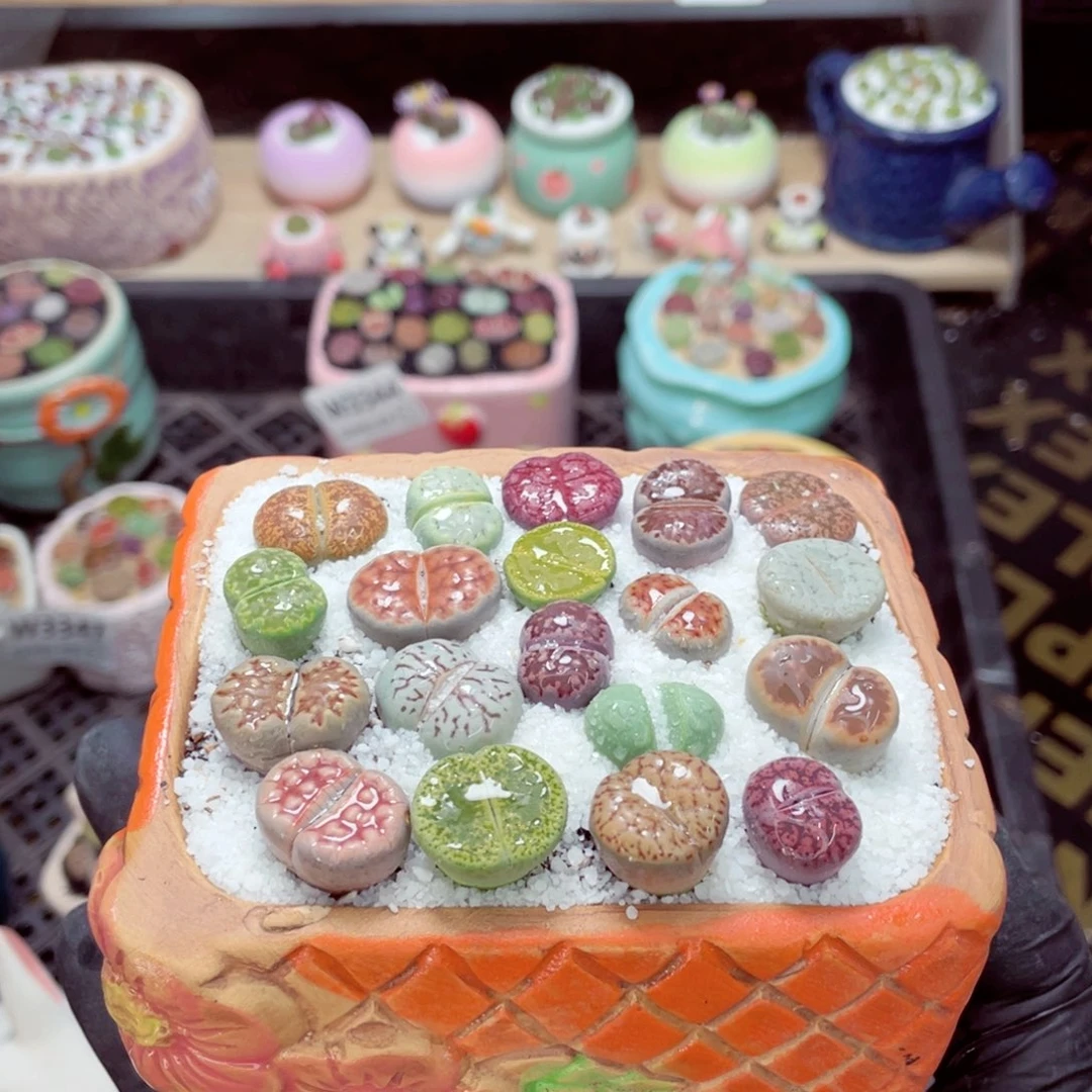 夜间零下地区拍保温箱w3351