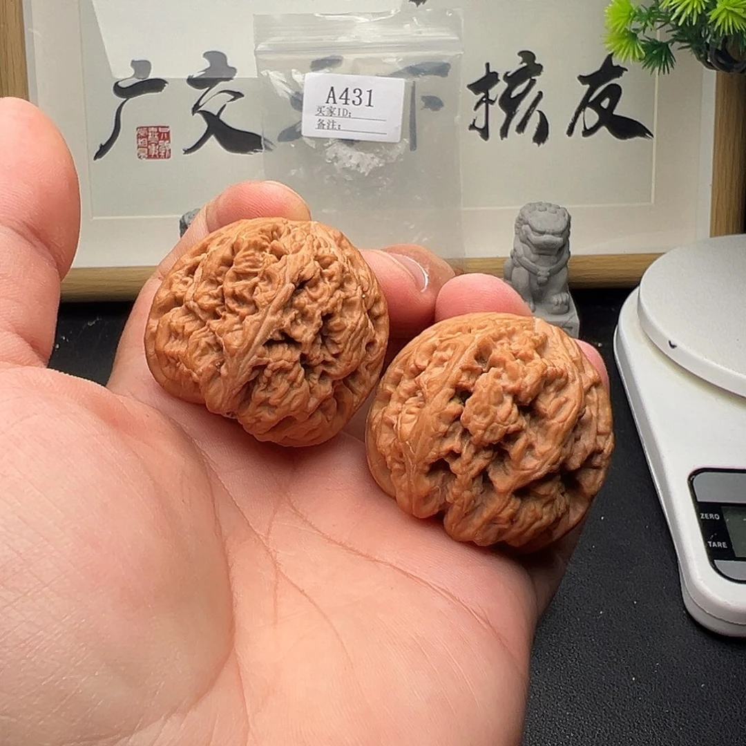 A431粗筋41尺全品