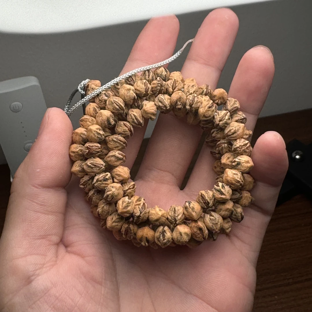 热振柏香籽红芽横打原桩108