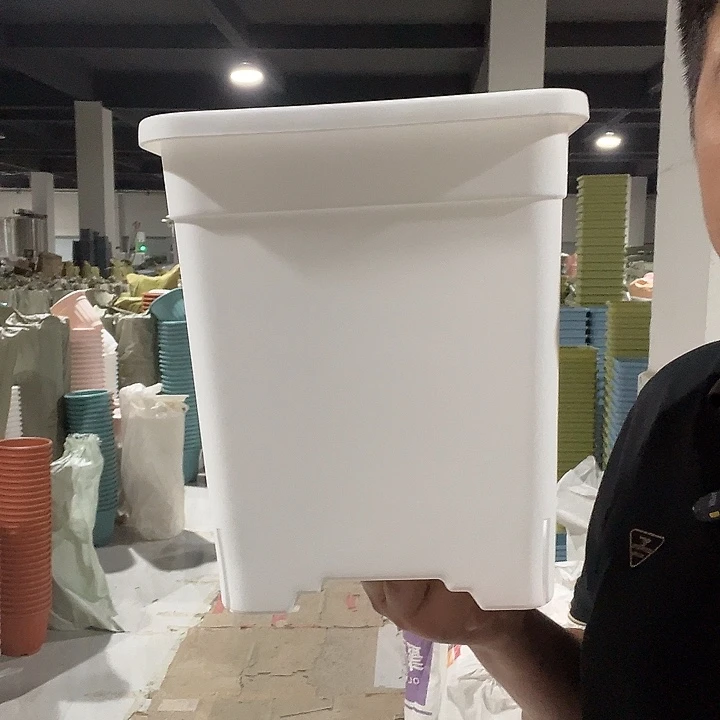 方2号白微瑕5个无托盘
