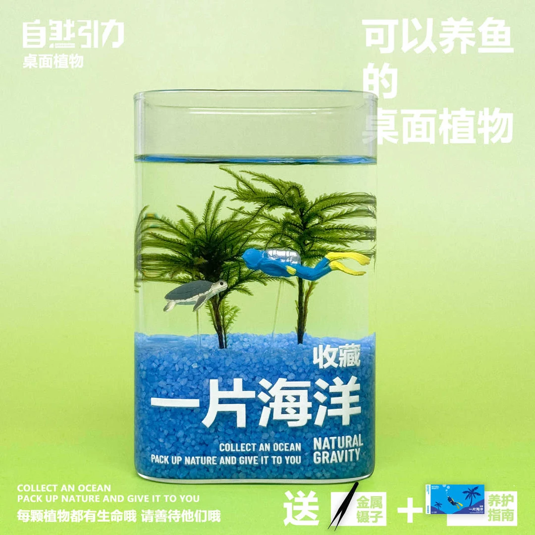 品牌自然引力一片海洋棕榈莫斯微景观水培桌面绿植创意养鱼送人礼