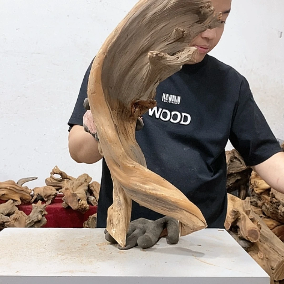 【闪购商品】柏木L*我们都是好孩子