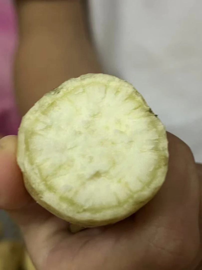 新鲜现挖旱地小甜粉糯牛奶薯地瓜