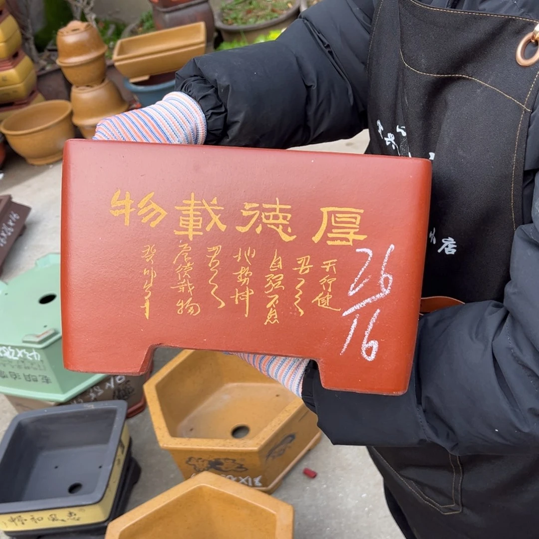 紫砂花盆盆景艺术