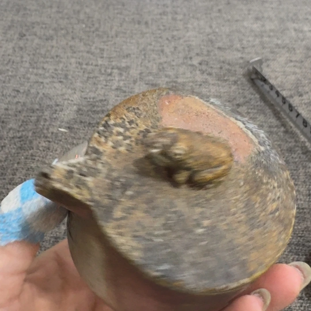 非常好用漂亮的茶具
