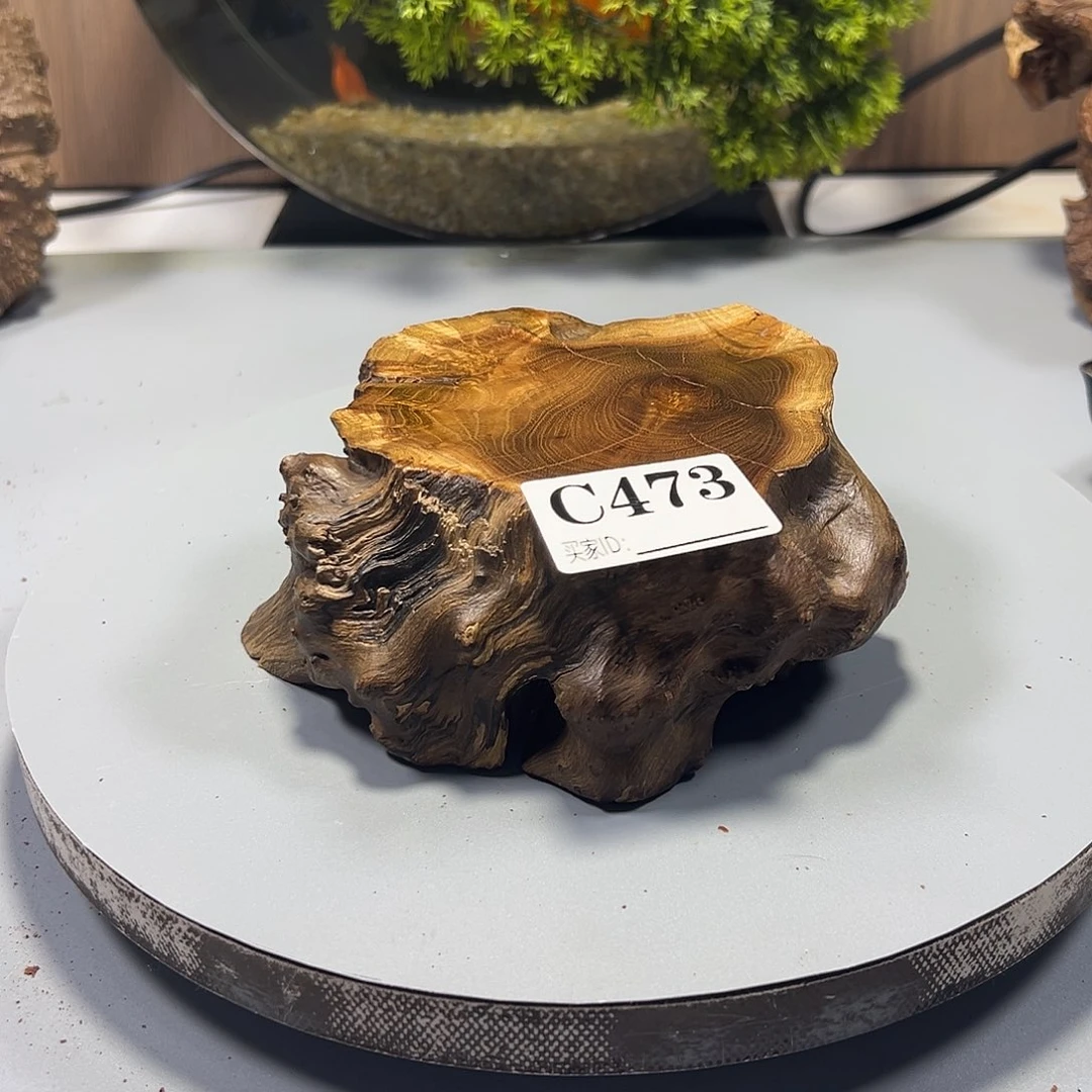 大果紫檀（缅甸花梨）满****星