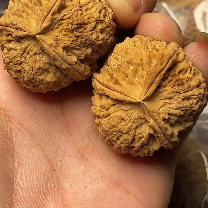 文玩核桃把件云南铁核桃9