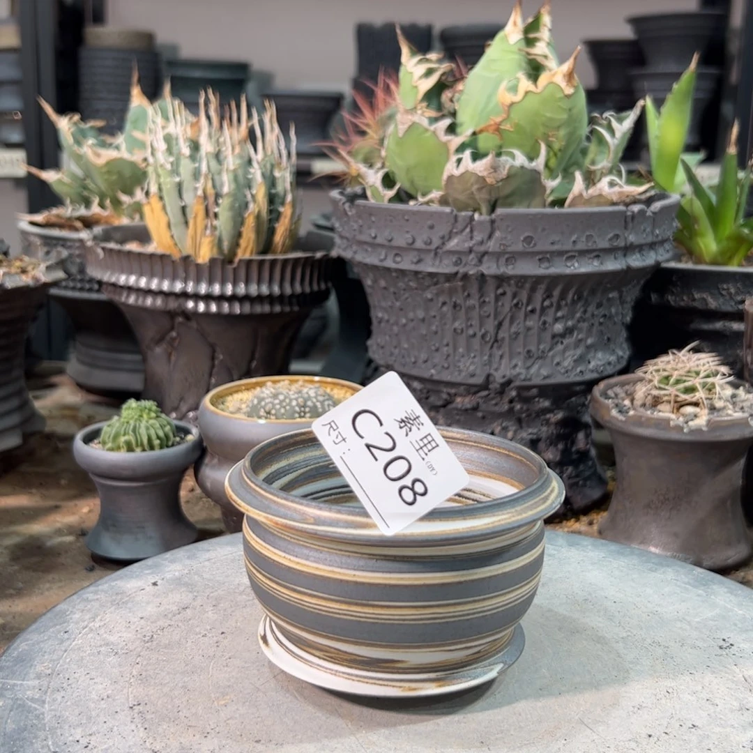 j景德镇素里手工内口9.5高7瑕疵