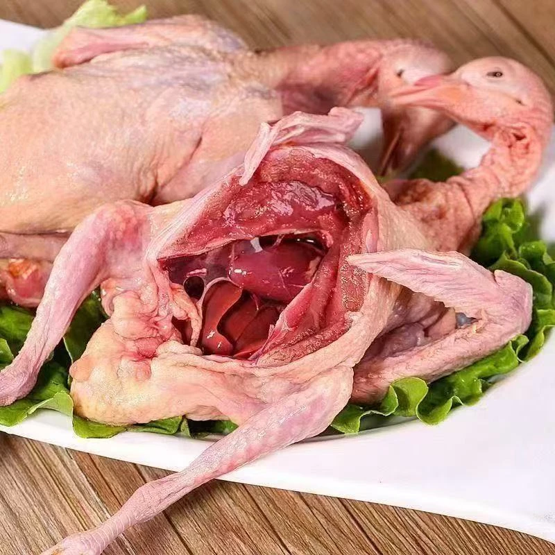 【顺丰 到手6只】新鲜宰杀  杂粮喂养散养  鸽子肉 急冻锁鲜