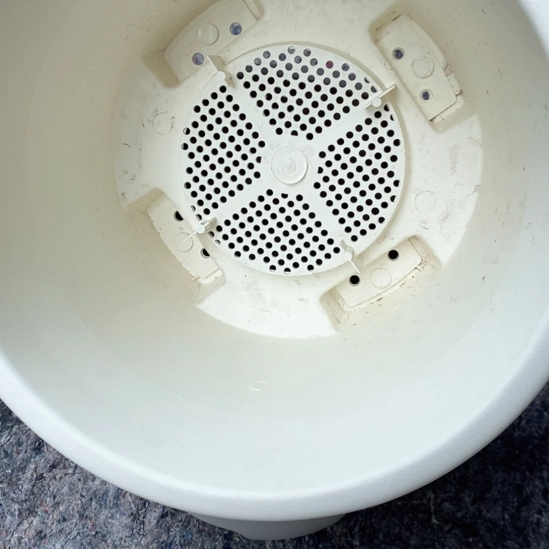 树脂4个26口圆米色球根无托