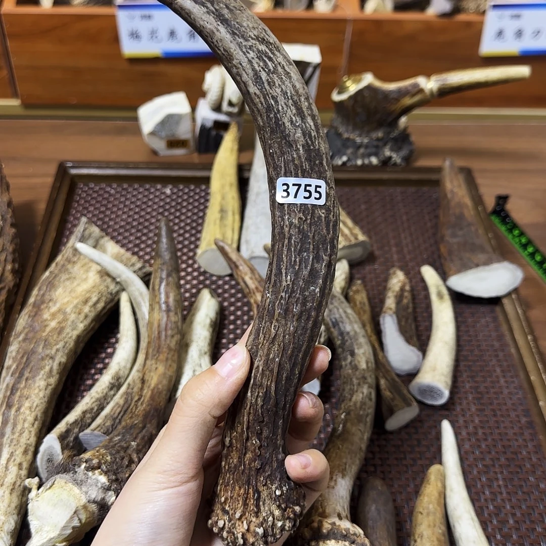 鹿骨手串/手链3755独角