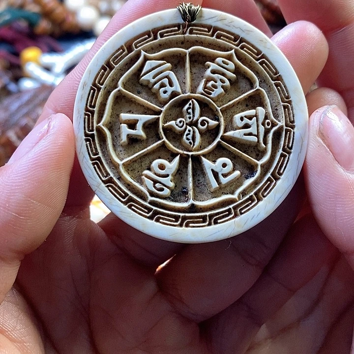 贝壳手串/手链嘎嘎嘎嘎嘎嘎嘎嘎嘎嘎嘎