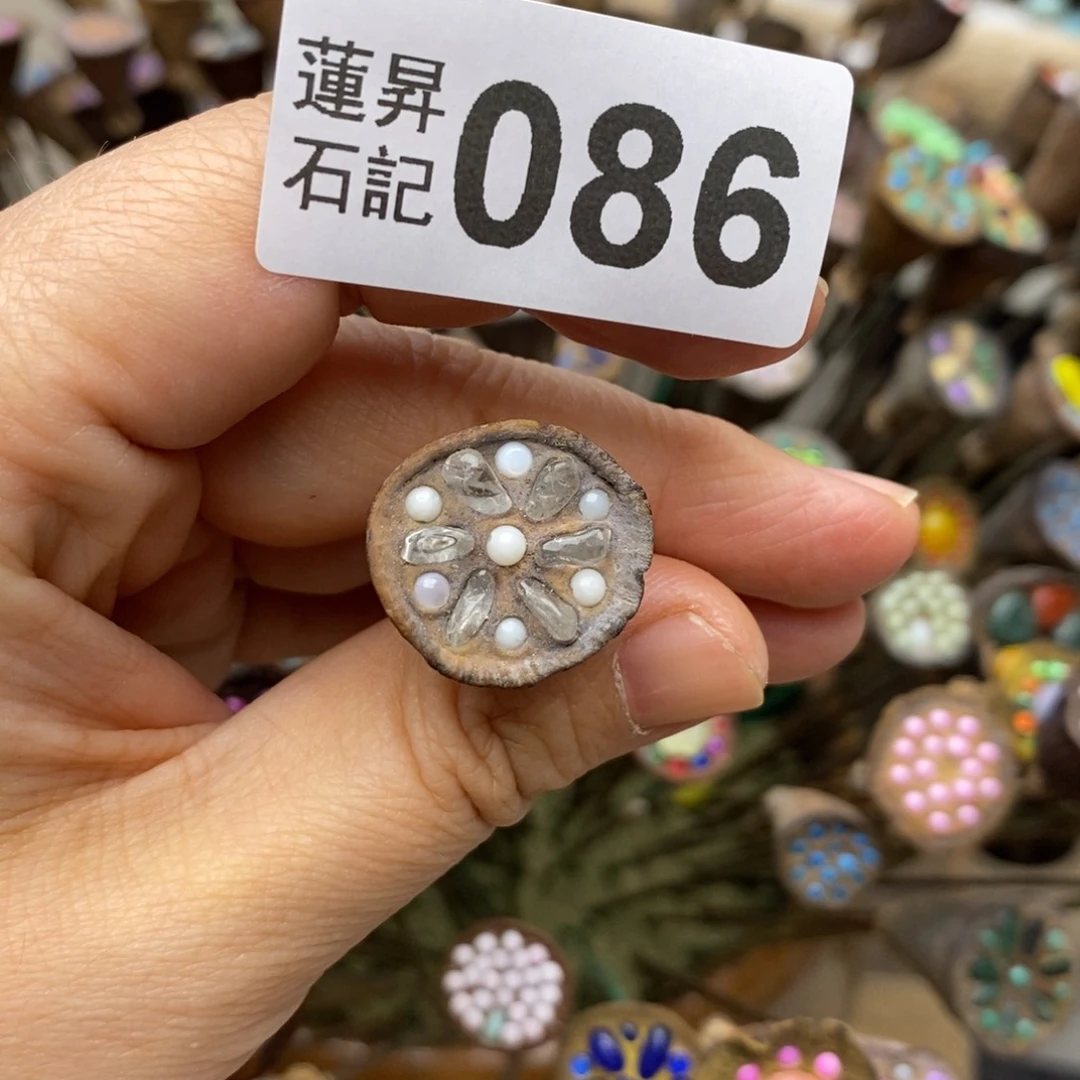 核桃木/黑胡桃（胡桃木）特**芃086