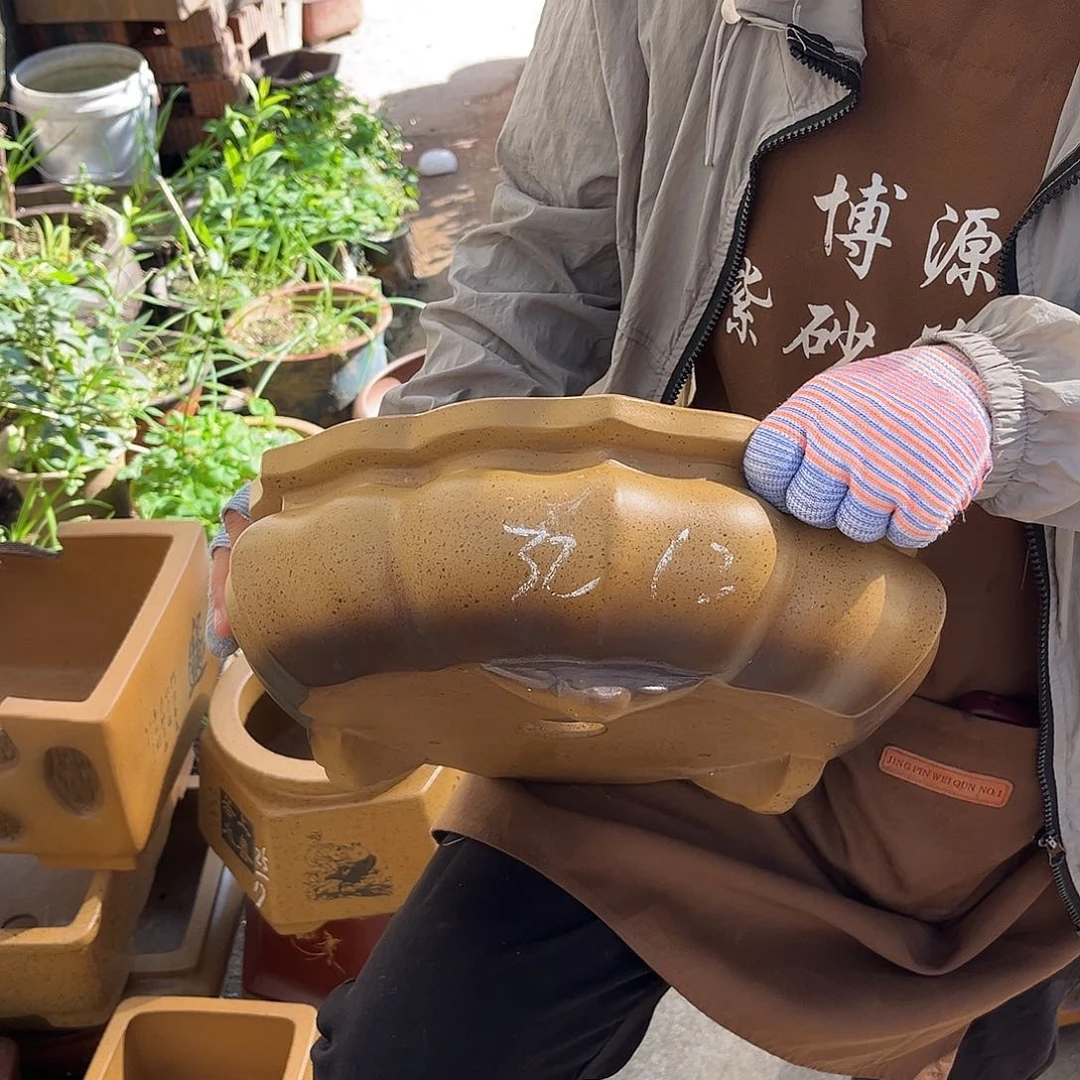 紫砂花盆盆景艺术