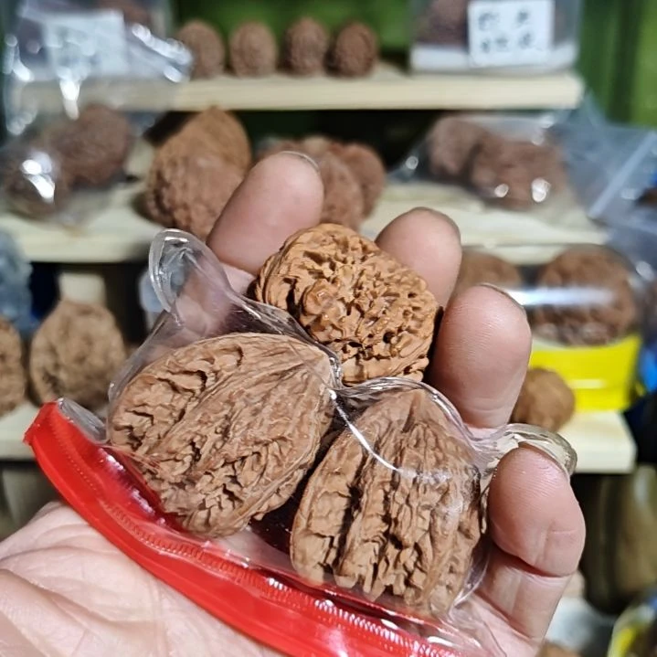 少***倾密文一对秘闻单只一个