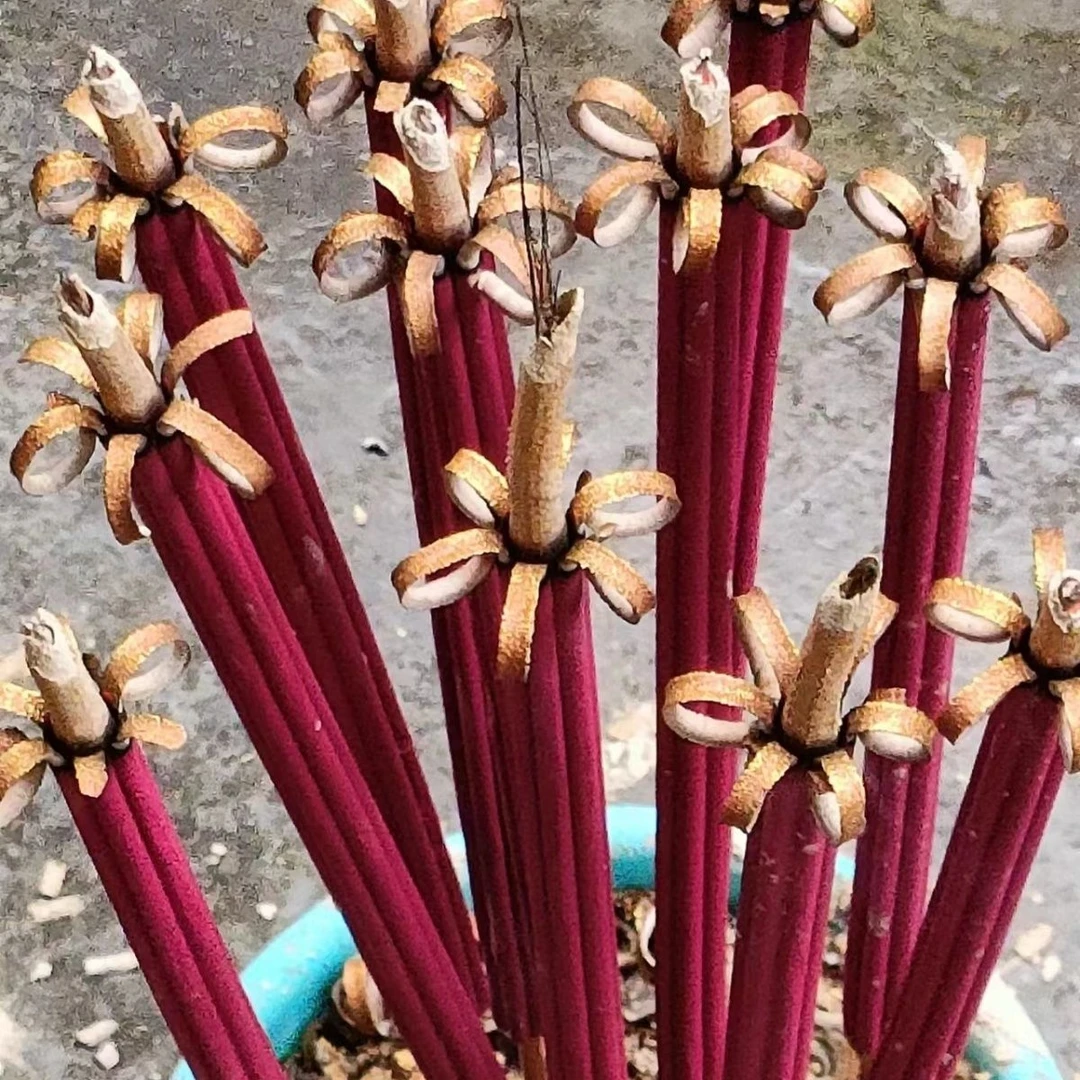 【花开富贵香】檀香供香佛香家用天然观音香重阳过年春节香中秋节