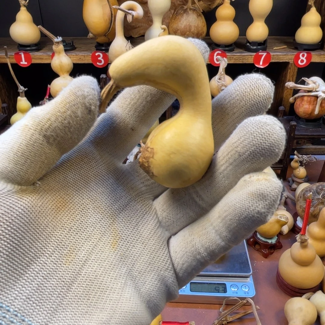 小***萝葫芦葫芦葫芦葫芦