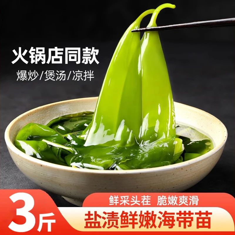新鲜盐渍海带苗鲜嫩海带苗小海带营养爽脆鲜香火锅菜凉拌菜好食材