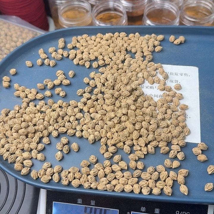 吊坠柏香籽/百香籽88克6.5+FA055