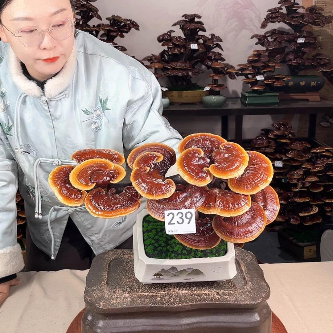 万事如意888888239