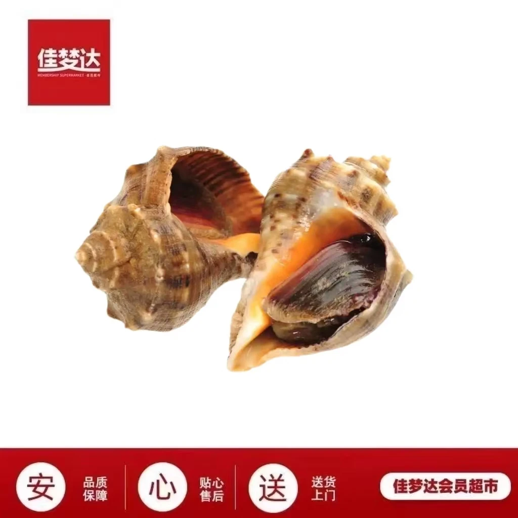 优选海螺