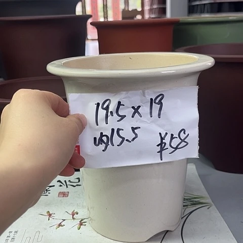 紫砂6555455555555555