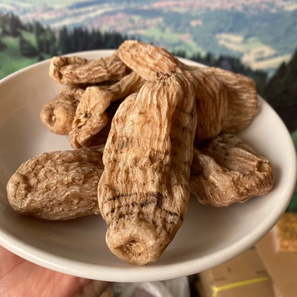 云南大集现收高山天/嘛姑