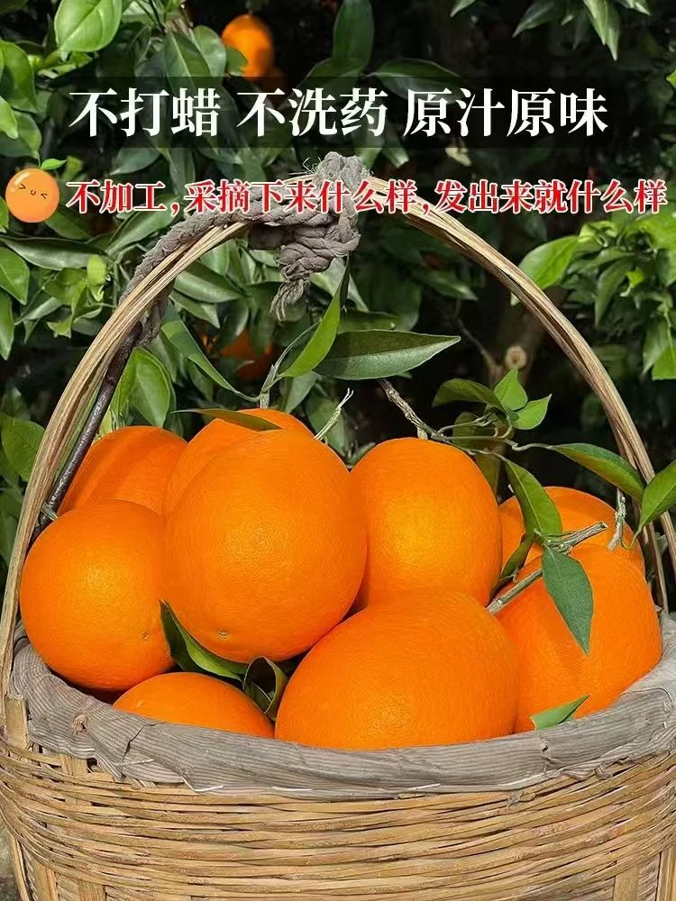 产地直发重庆奉节脐橙现摘应季新鲜甜爆汁水果偏远地区不包邮