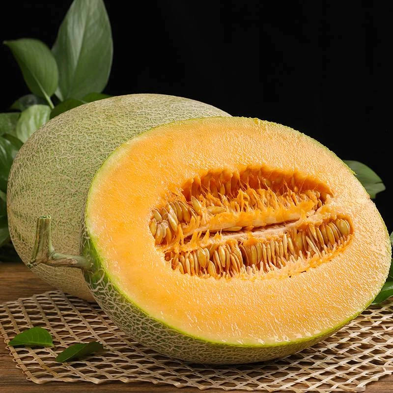 【顺丰包邮】新疆石河子炮台红哈密瓜头茬瓜产地水果直发