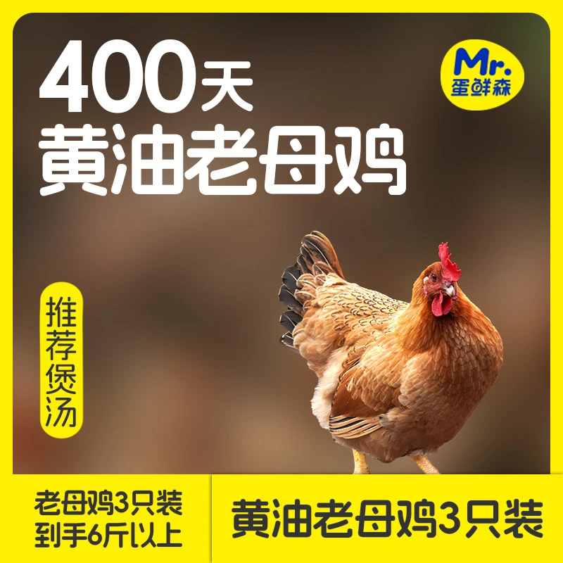 【蛋鲜森】黄油老母鸡净膛0.9-1.1kg/只 3只装 顺丰包邮 煲汤首选 烧烤食材