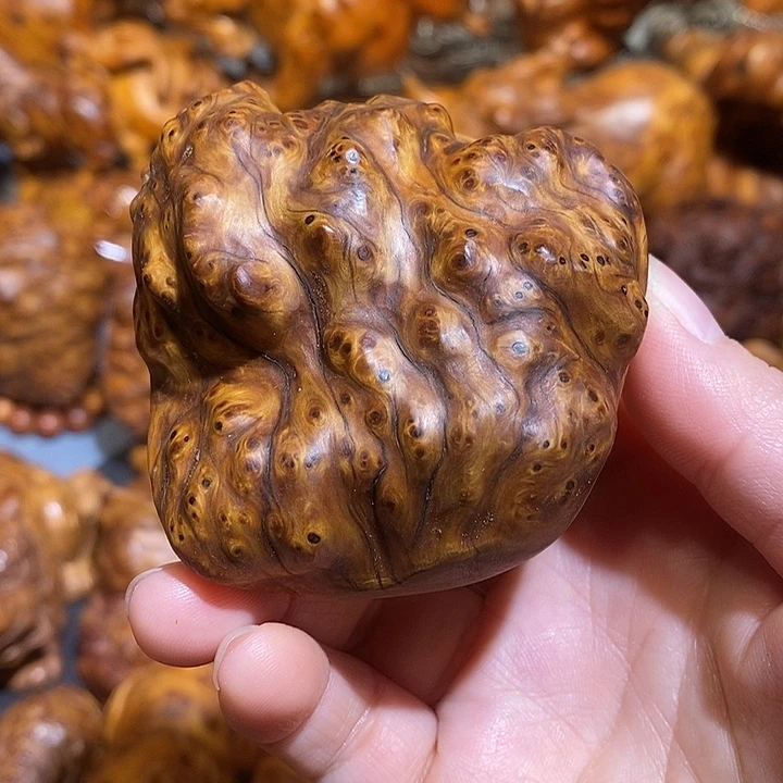 柏木太行崖柏陈化