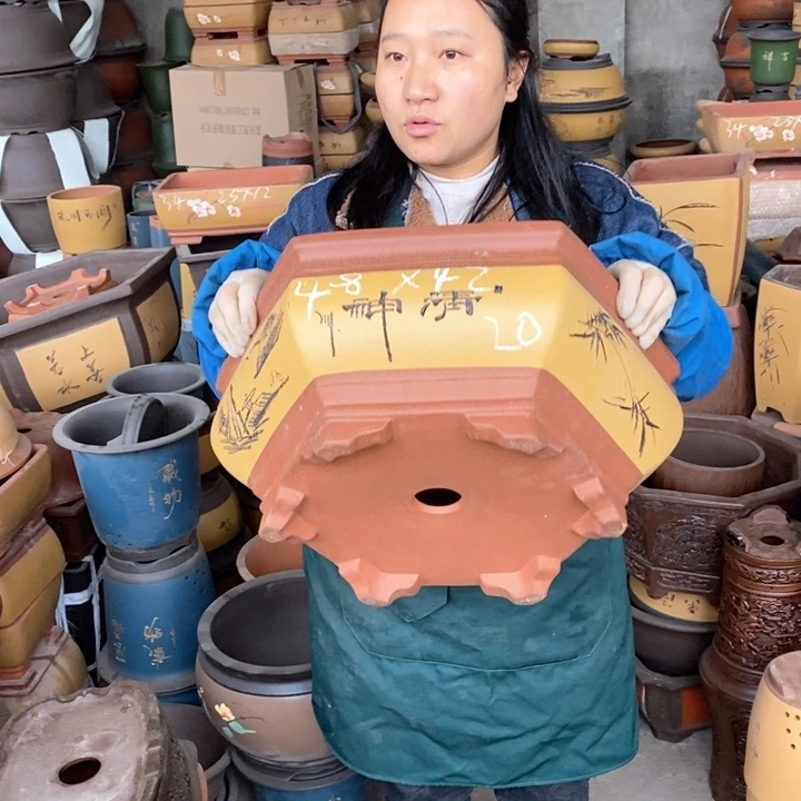 紫砂花盆紫砂花盆