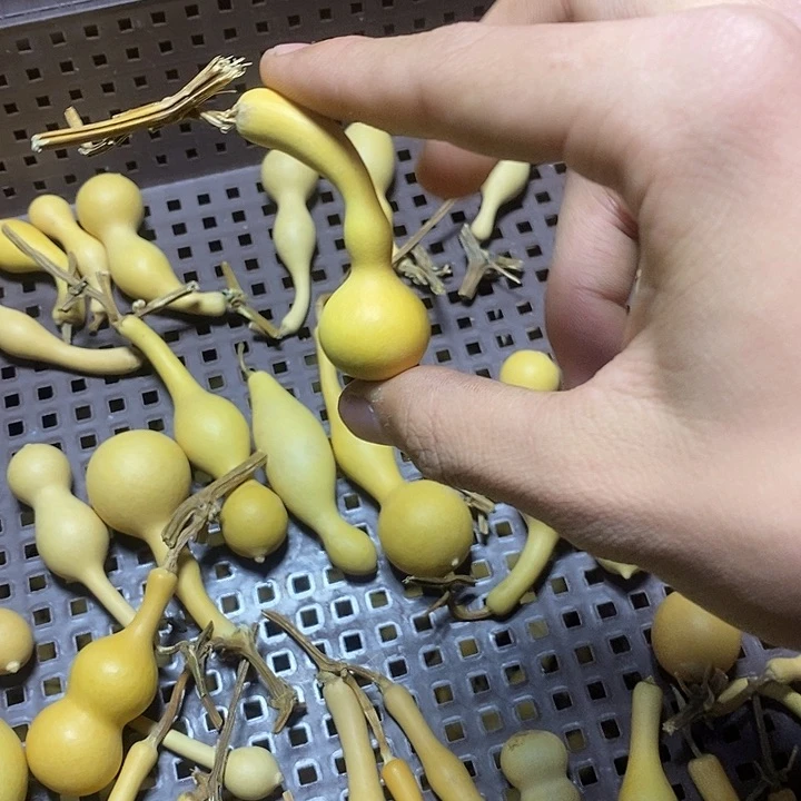 爱*您11111111111111111