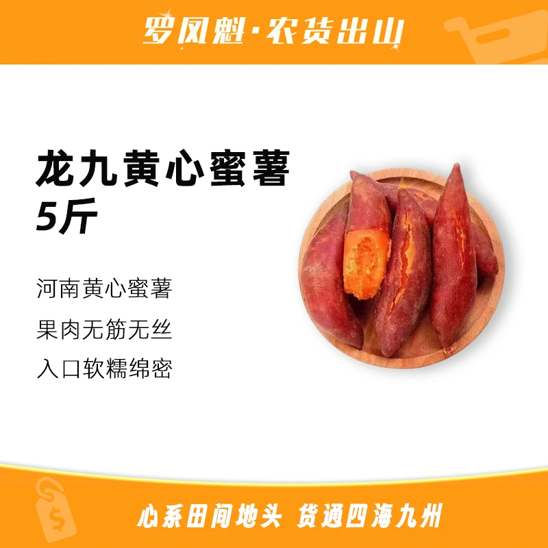 【聚发财-与你有关】龙九黄心蜜薯5斤 香甜软糯薯新鲜现挖