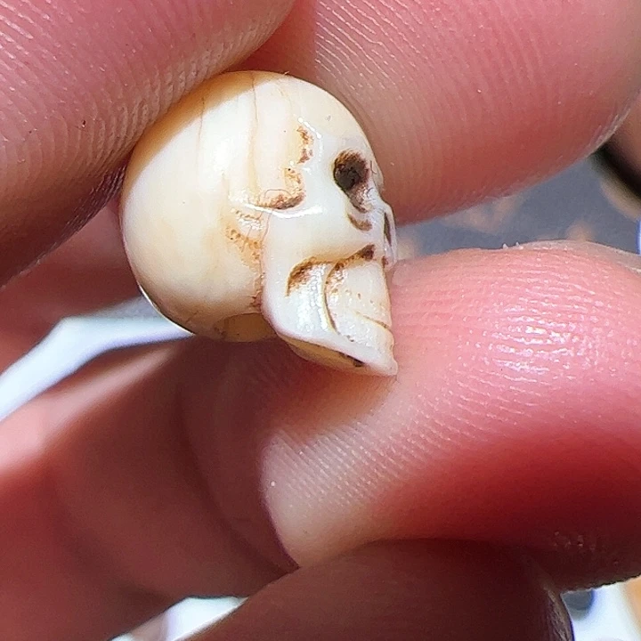 香榧木人***师你的时候我