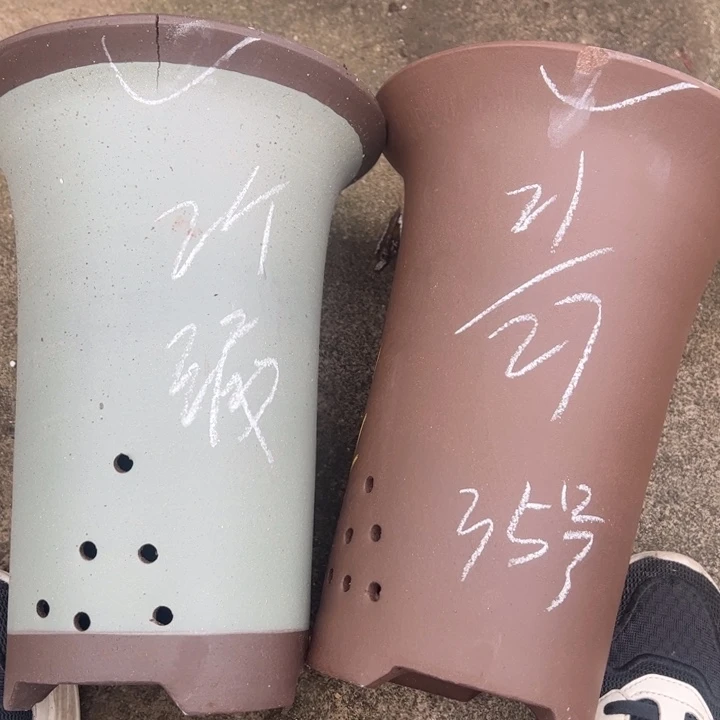 35…………………………………………