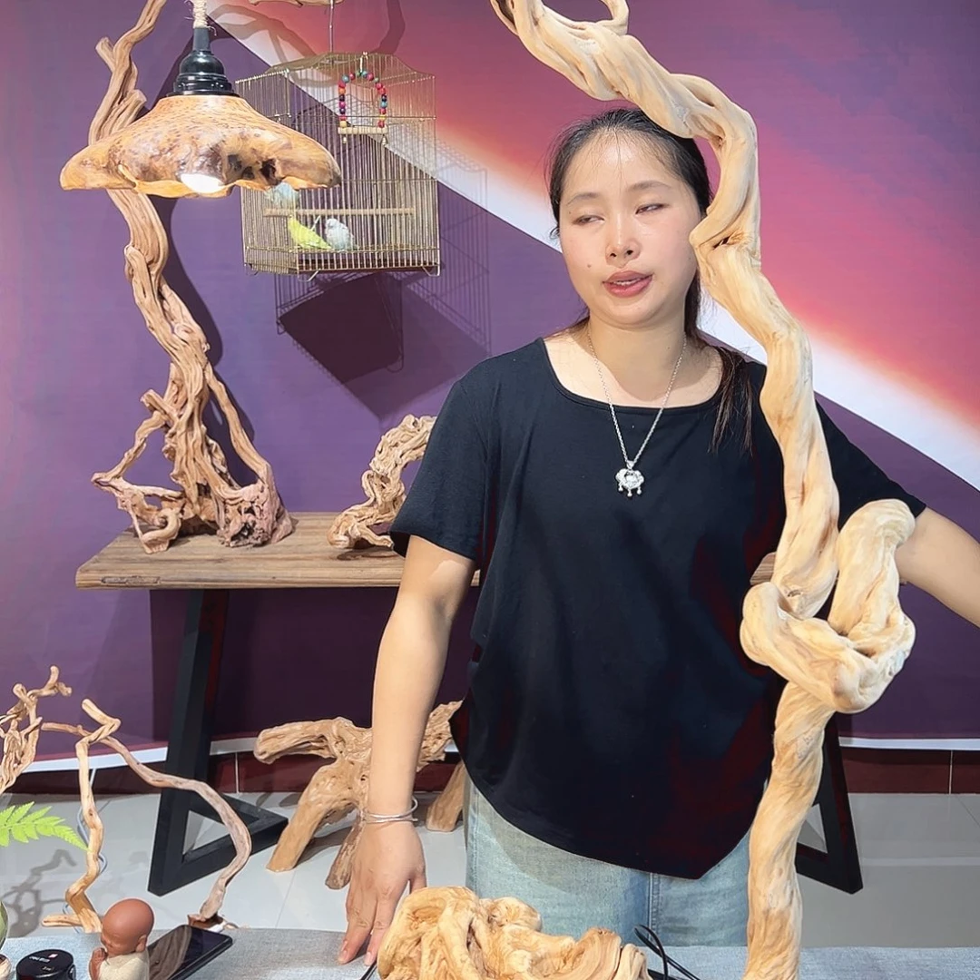 豆***仔天然杜鹃根根艺摆件