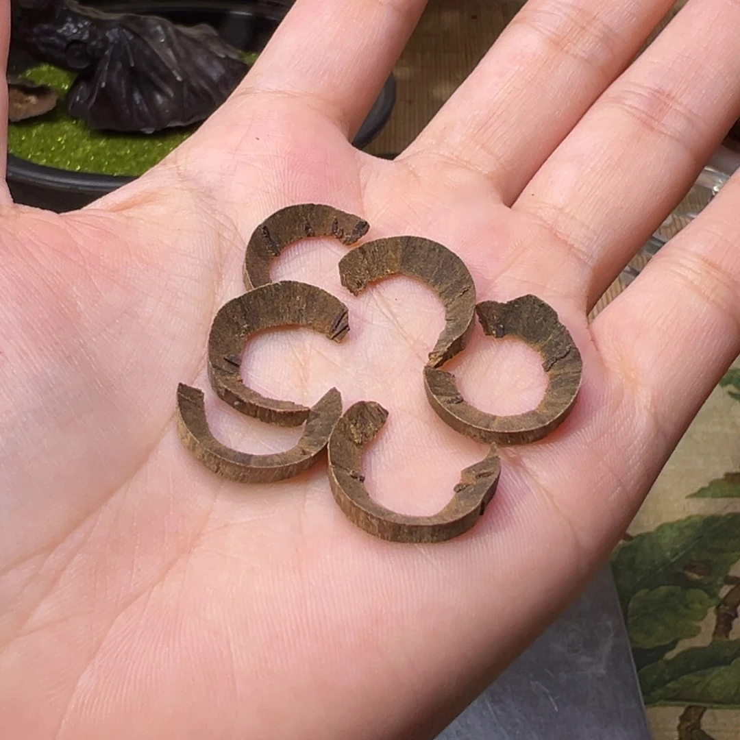香榧木木料文莱沉水甜甜圈1克