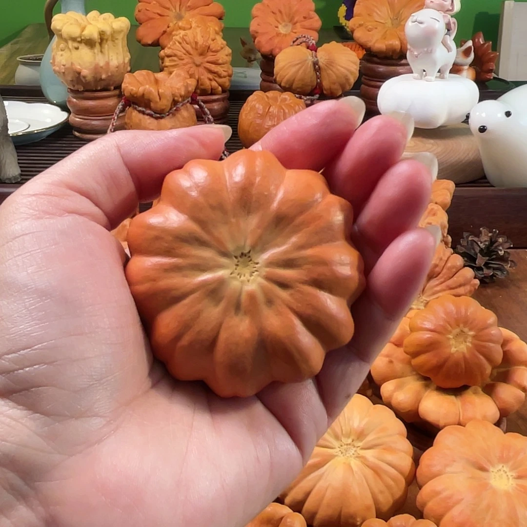 王***满墨西哥葫芦手把太阳花