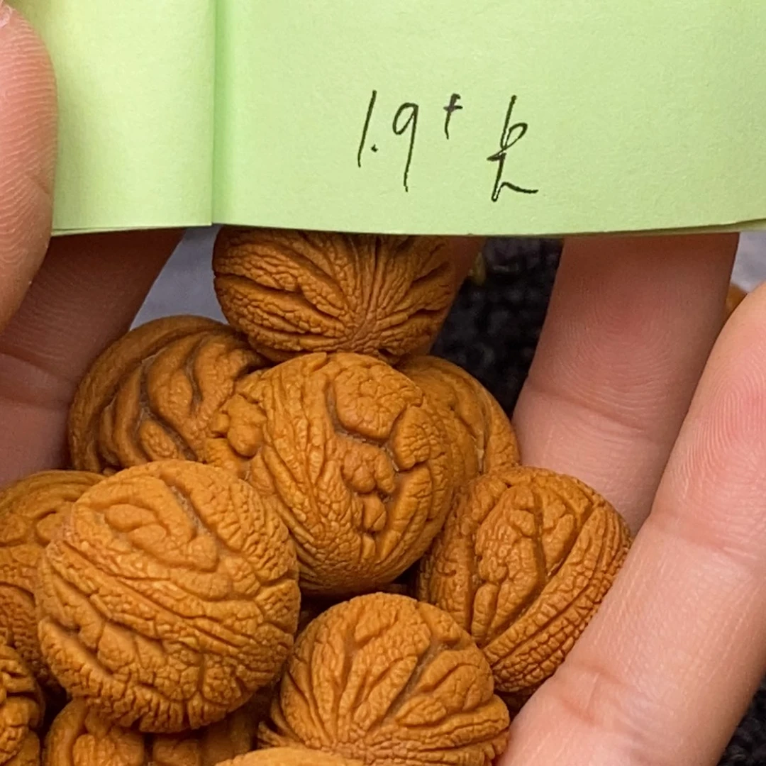 秦岭山脉龙纹桃核 14