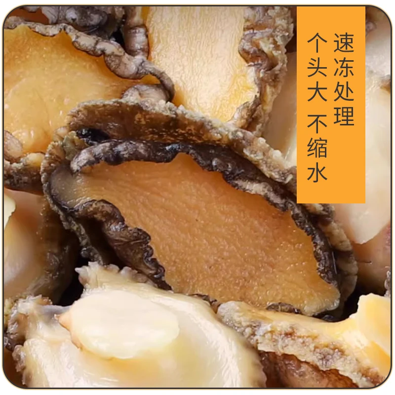 鲍鱼肉 活冻鲍鱼肉 纯鲍鱼肉