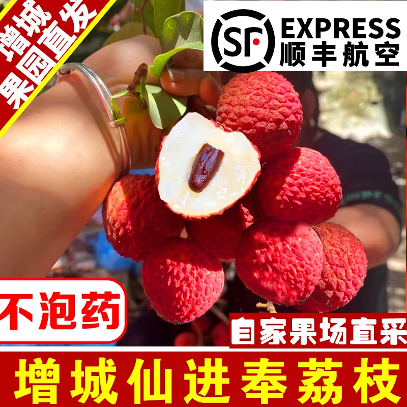 广东增城仙进奉荔枝皇后新鲜当季非茂名荔枝水果现摘现发空运包邮