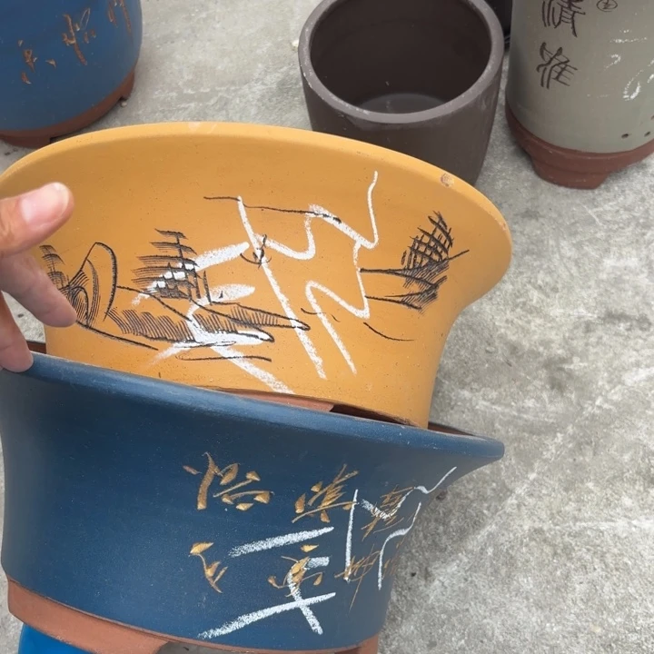花盆紫砂紫砂的花
