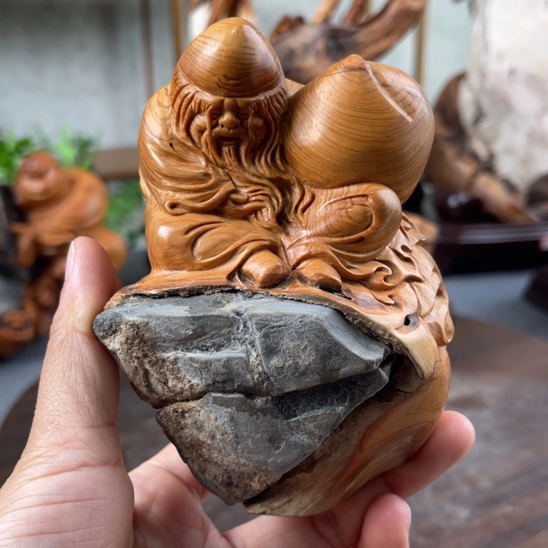 柏木（崖柏）崖柏太行山脉