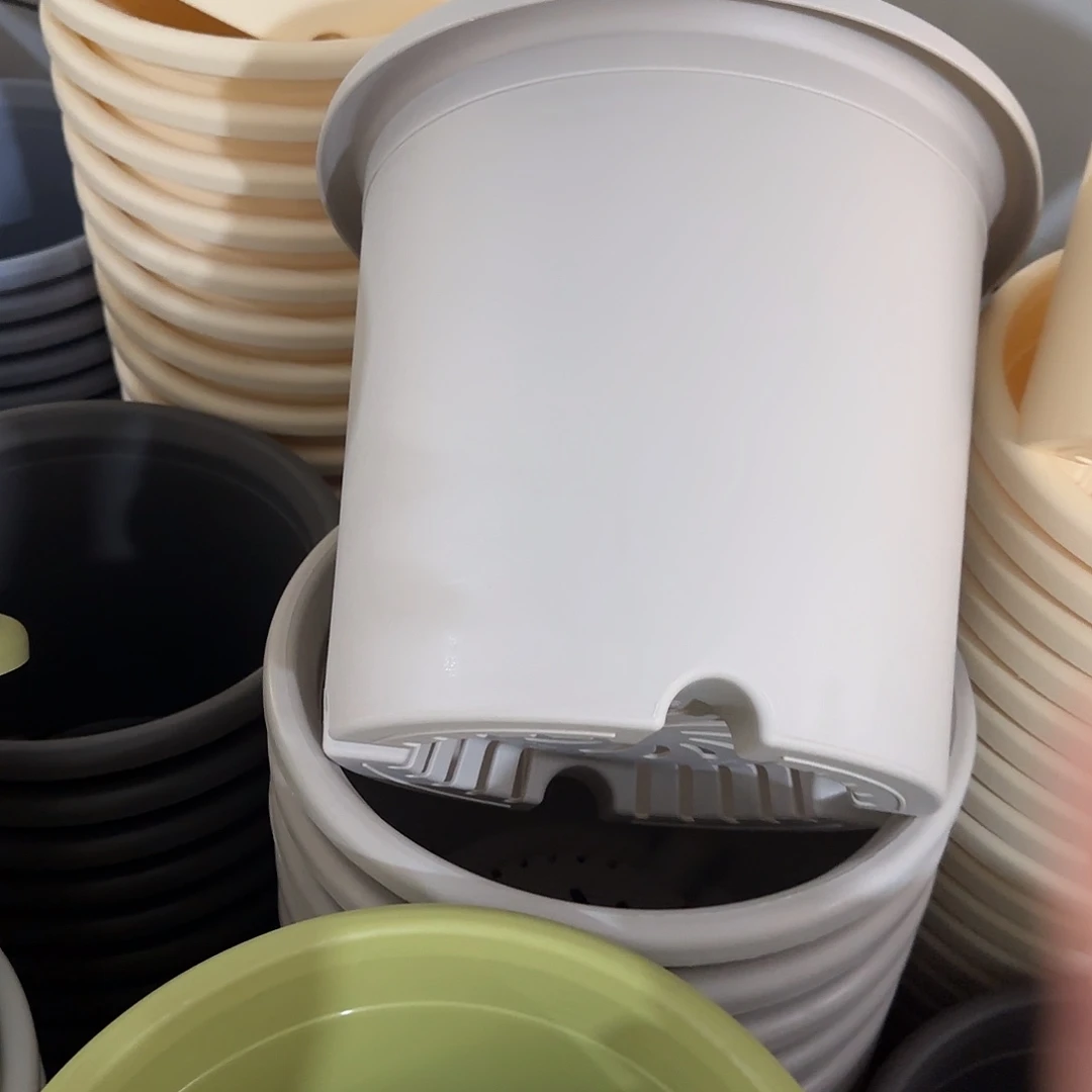 微瑕6号无托7个，灰白